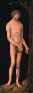 saksa: Adam Adam tekijältä Lucas Cranach the Elder