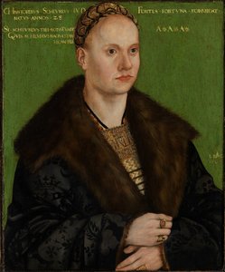 Porträt des Humanisten Christoph Scheurl tekijältä Lucas Cranach the Elder