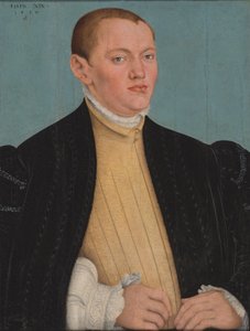 Saksan kieli: Bildnis eines jungen Mannes Nuoren miehen muotokuva (Portrait of a Young Man) tekijältä Lucas Cranach the Younger