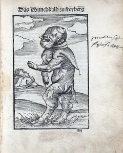 Freibergin munkkivasikka (Das Moenchkalb zu Freiberg), kirjoittanut Cranach, Lucas, vanhempi (1472-1553). puupiirros tekijältä Lucas the Elder Cranach