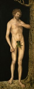 Ihmisen lankeemus: Adam - Lucas Cranach, vanhempi (1472-1553). Öljy puulle, n. 1510-1520. Mitat: 137 x 54 cm. Taidehistoriallinen museo, Vienne tekijältä Lucas the Elder Cranach