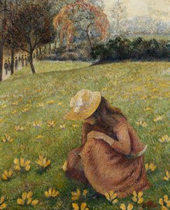 Krokukset; Les Crocus