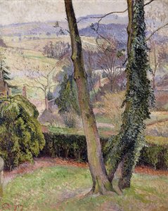 Frost and Mist, Summerleaze, East Knoyle tekijältä Lucien Pissarro