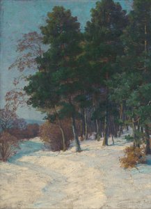 Metsä talvella