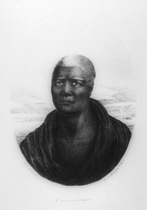 Kamehameha I, Havaiji, 1816