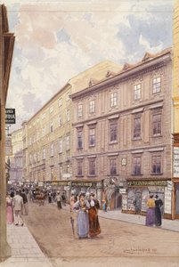 Viljelijämarkkinat Wienissä