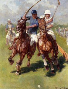 Polo-ottelu