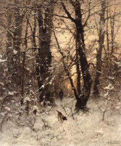 Talvi hämärä, 1891