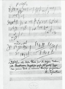 Viimeinen sivu saksalaisen säveltäjän Ludwig van Beethovenin (1770-1827) kirjoittamaa musiikkia