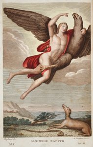 Taivaaseen viety Ganymede tai Ganimede Rapito, kirja X, kuvitus Ovidiuksen teoksesta Metamorphoses, Firenze, 1832 (käsin väritetty kaiverrus). tekijältä Luigi Ademollo