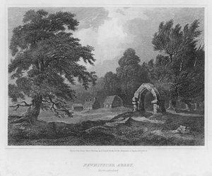 Abadia de Newminster, Northumberland (gravat) finlandès