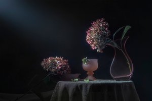 Tunnelmallinen hortensia-asetelma tekijältä Lydia Jacobs