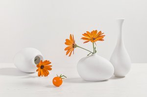Moderni asetelma oransseista kukista tekijältä Lydia Jacobs