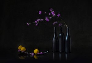 Tumma asetelma violeteilla marjoilla tekijältä Lydia Jacobs