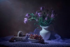 Asetelma violeteista tulppaaneista tekijältä Lydia Jacobs