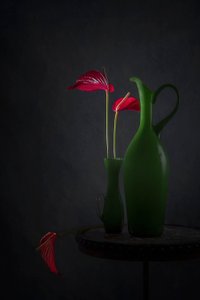 Punaisia flamingokukkia ja vihreitä maljakoita tekijältä Lydia Jacobs