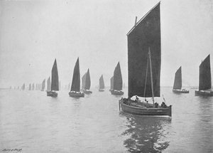 Herring Boats Off the Tyne, c1896