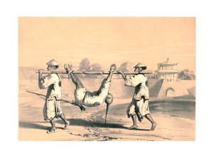 "Luonnos seinästä suuren hyökkäyksen jälkeisenä aamuna", Kiina, 1800-luku.