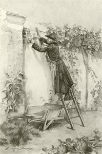 Abbe Constantin (kaiverrus)