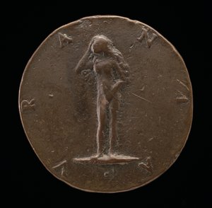 Urania [käänteinen], n. 1519.