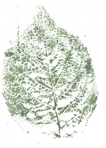 Kasvikuviopainatus