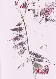 Dark Leaf -vaikutelmia tekijältä Maira Ribena