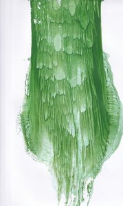 Fluid Green -tiivistelmä tekijältä Maira Ribena
