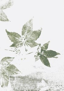Green Leaf -vaikutelmia tekijältä Maira Ribena