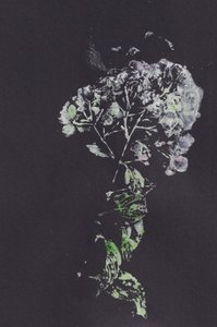 Moody Floral Impression tekijältä Maira Ribena