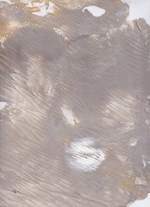 Hillitty maavirta tekijältä Maira Ribena