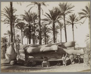 Makaava Ramses II:n patsas Memphisissä, etualalla poika aasin kanssa Ramesses II à Memphis -patsas (nimi esineessä)