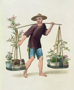 Portteri hedelmäpuilla ja kukilla, levy 16 teoksesta "The Costume of China", kaiverrettu J. Dadley, 1800