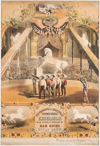 Ihana ja kauniisti koulutettu hevonen Excelsior, n. 1840 (chromolitho)