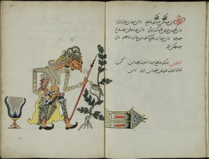 Wukon Jawa, MS 41 s.32, kuva 16, 1830.