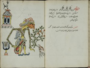 Kurkuma Java, MS 41 s. 40, nykyään 20, 1830