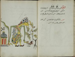 Kurkuma Java, MS 41 s. 42, kuva 21, 1830 tekijältä Malay Malay