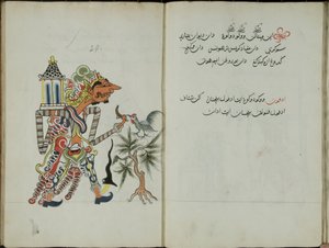 Wukon Jawa, MS 41 s.58, kuva 29, 1830.