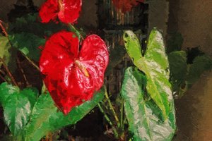 Suuri punainen sydämenmuotoinen anthurium tekijältä Mano Chandra Dhas