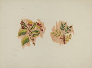 Silkki alushamefragmentti, n. 1939. tekijältä Manuel G. Runyan