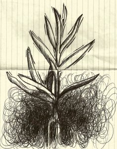 Kasvi, 2014 (muste paperille) tekijältä Marco Campedelli