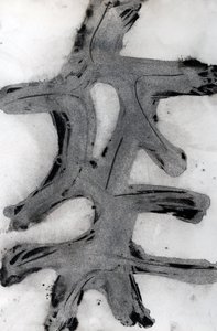 Ramas, 2014 (muste paperille) tekijältä Marco Campedelli