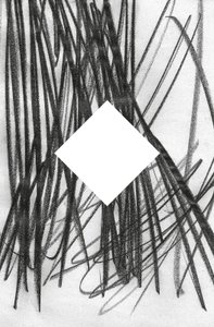 Nimetön, 2014 (grafiitti paperille) tekijältä Marco Campedelli