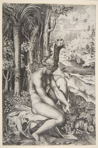 Venus poistaa piikkia vasemmasta jalastaan istuessaan kankaalla puiden vieressä, ..., n. 1515-27. tekijältä Marco Dente