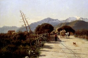 Maisema