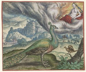 Fable of the Peacock and the Satakieli