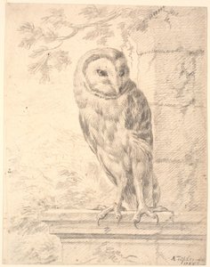 Paroni von Stoschin ruma