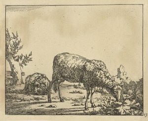 Ovelles pasturant i ovelles ajagudes a la tanca Ovella (títol de la sèrie) acabat tekijältä Marcus de Bye