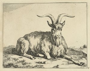 Makaava vuohi etujalka ojennettuna Goats and Bucks (sarjan nimi)