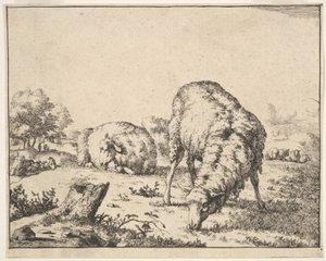 Lampaat, 16 lautasen sarjasta, 1664. tekijältä Marcus de Bye