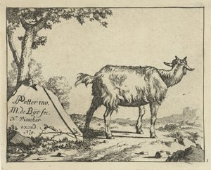Seisova vuohi takaa katsottuna Goats and Bucks (sarjan nimi)
